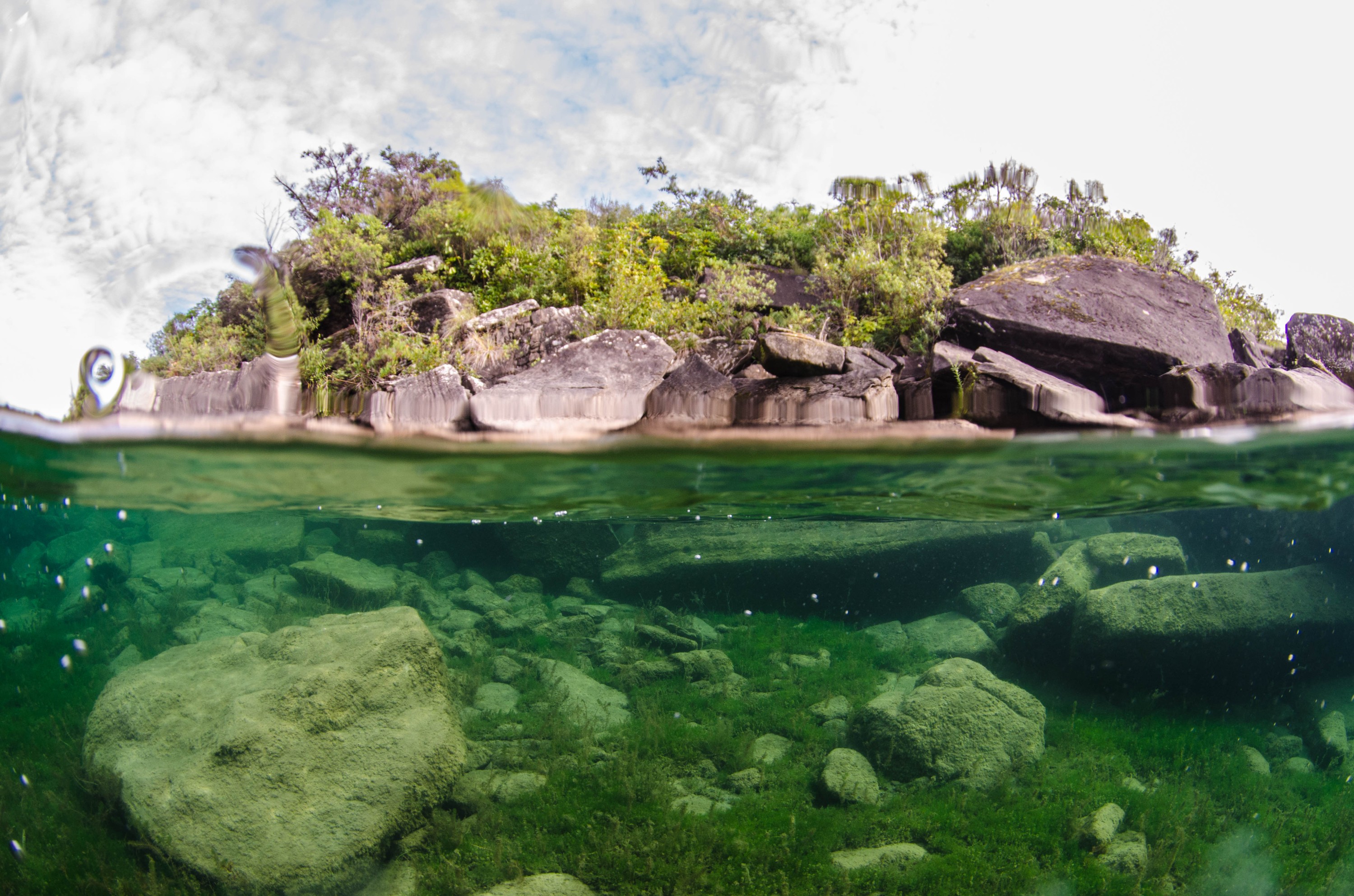 DSC_0968 – crispin, Lake, Waikaremoana, freshwater, split, level, nz, new, zealand, new zealand,